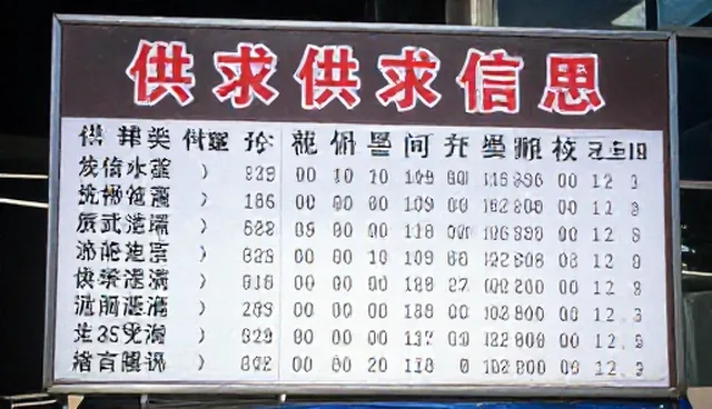 如何选择适合自己的服务方案？